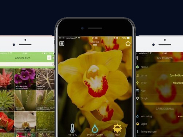 Mobile app for home garden