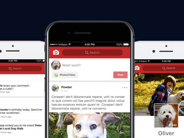Social network and mobile app for peple who love dogs